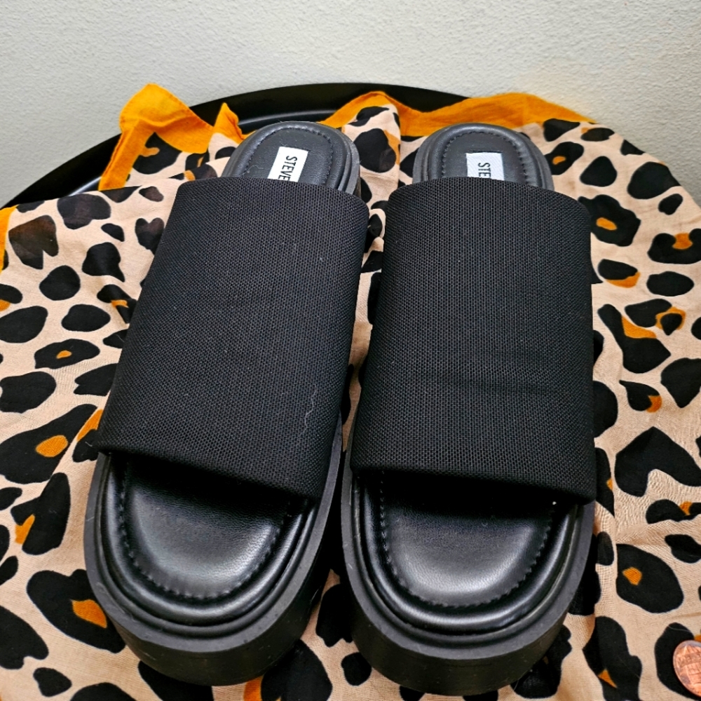 Steve Madden